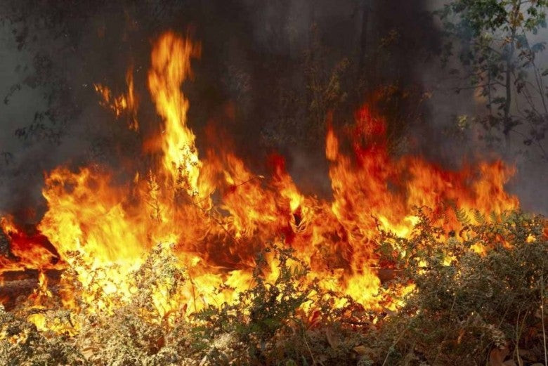 Εξήντα δύο πυρκαγιές μέσα σε ένα 24ωρο